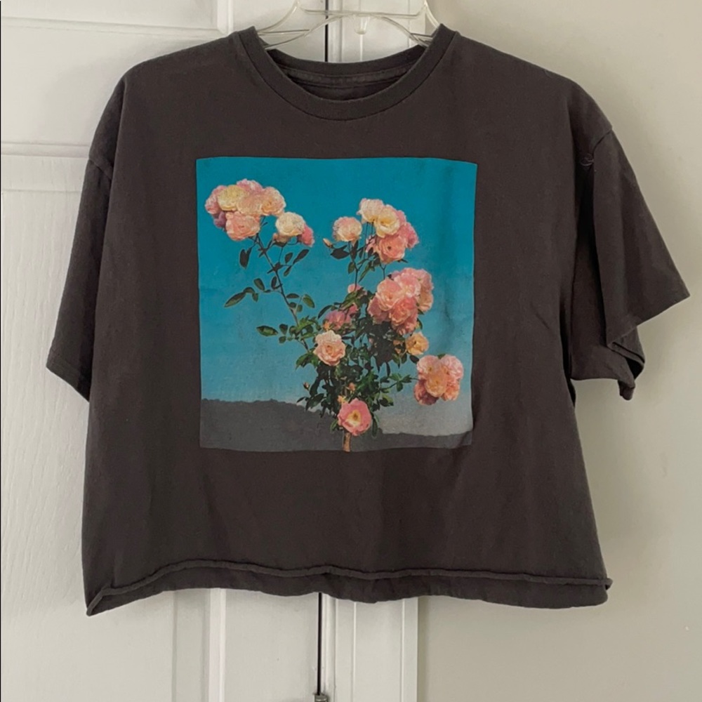 Cropped gray tshirt